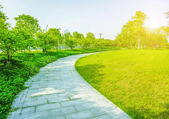 http://www.sxbnab.com